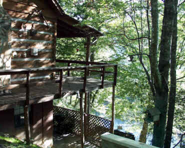 South side of cabin looking toward the river
