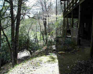 Looking South On The River Side Of The Cabin